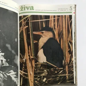 Živa – Časopis pro biologickou práci (ročník 1959)