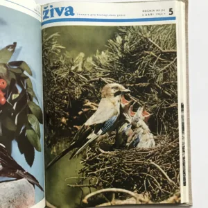 Živa – Časopis pro biologickou práci (ročník 1964)