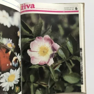 Živa – Časopis pro biologickou práci (ročník 1964)