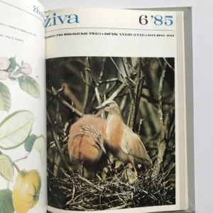 Živa – Časopis pro biologickou práci (ročník 1985)