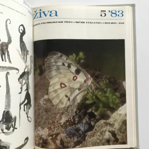 Živa – Časopis pro biologickou práci (ročník 1983)