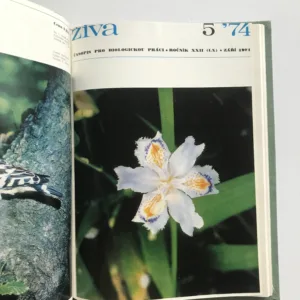 Živa – Časopis pro biologickou práci (ročník 1974)