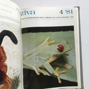 Živa – Časopis pro biologickou práci (ročník 1981)
