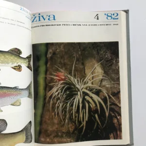 Živa – Časopis pro biologickou práci (ročník 1982)