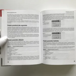 VBA MS Office 2000, Paul McFedries