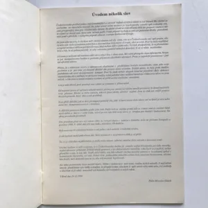 Analýza 17. listopadu 1989 (Příloha týdeníku Republika), Miroslav Dolejší
