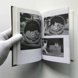 Pudlenka aneb Měl jsem psa a kočku, Karel Čapek, Josef Čapek