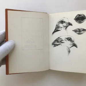 Čelní náraz (podpis autora), Jaroslav Holoubek